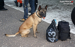 Olsztyńska policjantka i pies Nero pomagali w „Zofiówce”